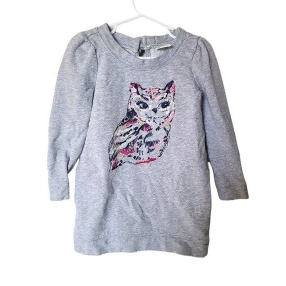 Gymboree‎ Tunic Sweatshirt size 5 Years Girls Gray Embroidered Owl Glitter - Picture 1 of 5